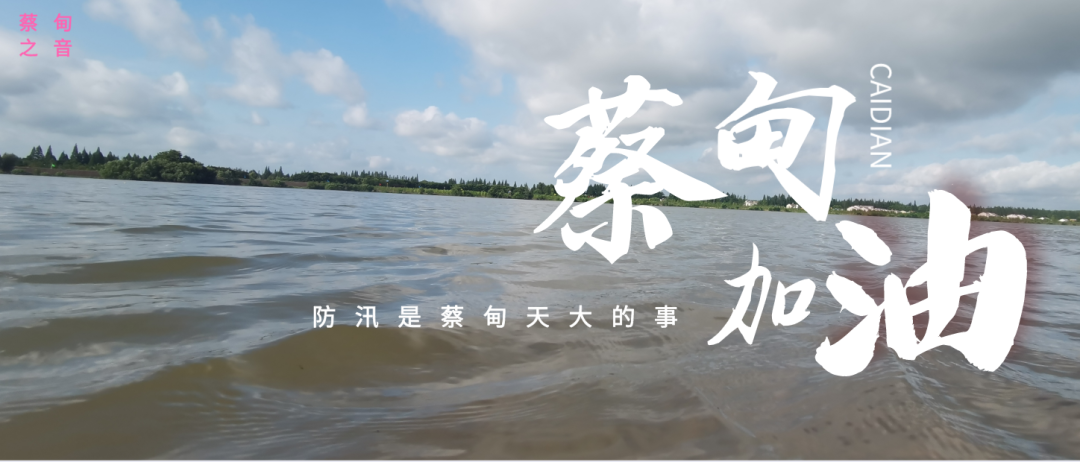 蔡甸區(qū)啟動防汛ⅰ級應急響應，做好鋪土釘防汛木樁工作