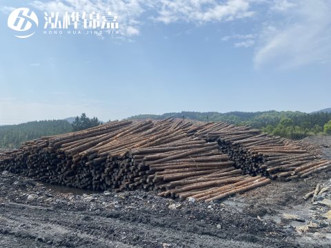 河道打樁為什么選擇松木樁來處理軟地基？-松木樁施工使用范圍