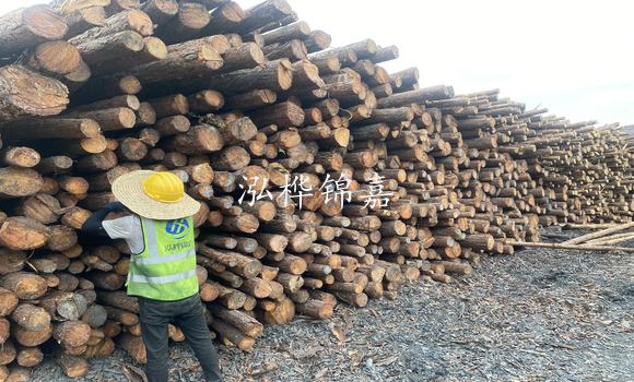 松木樁是什么，松木樁的用途有哪些-松木樁介紹