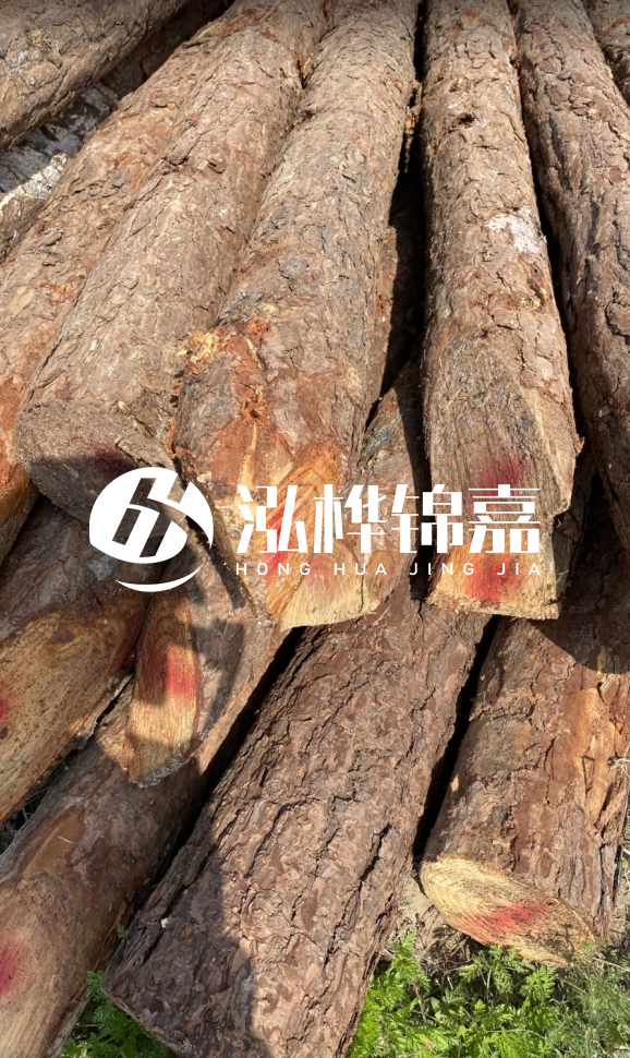 <strong>松木樁和杉木樁的用途區(qū)別？哪個(gè)更適合打樁用？</strong>