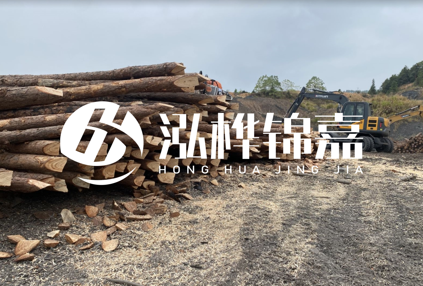 松木樁尾徑是什么意思？