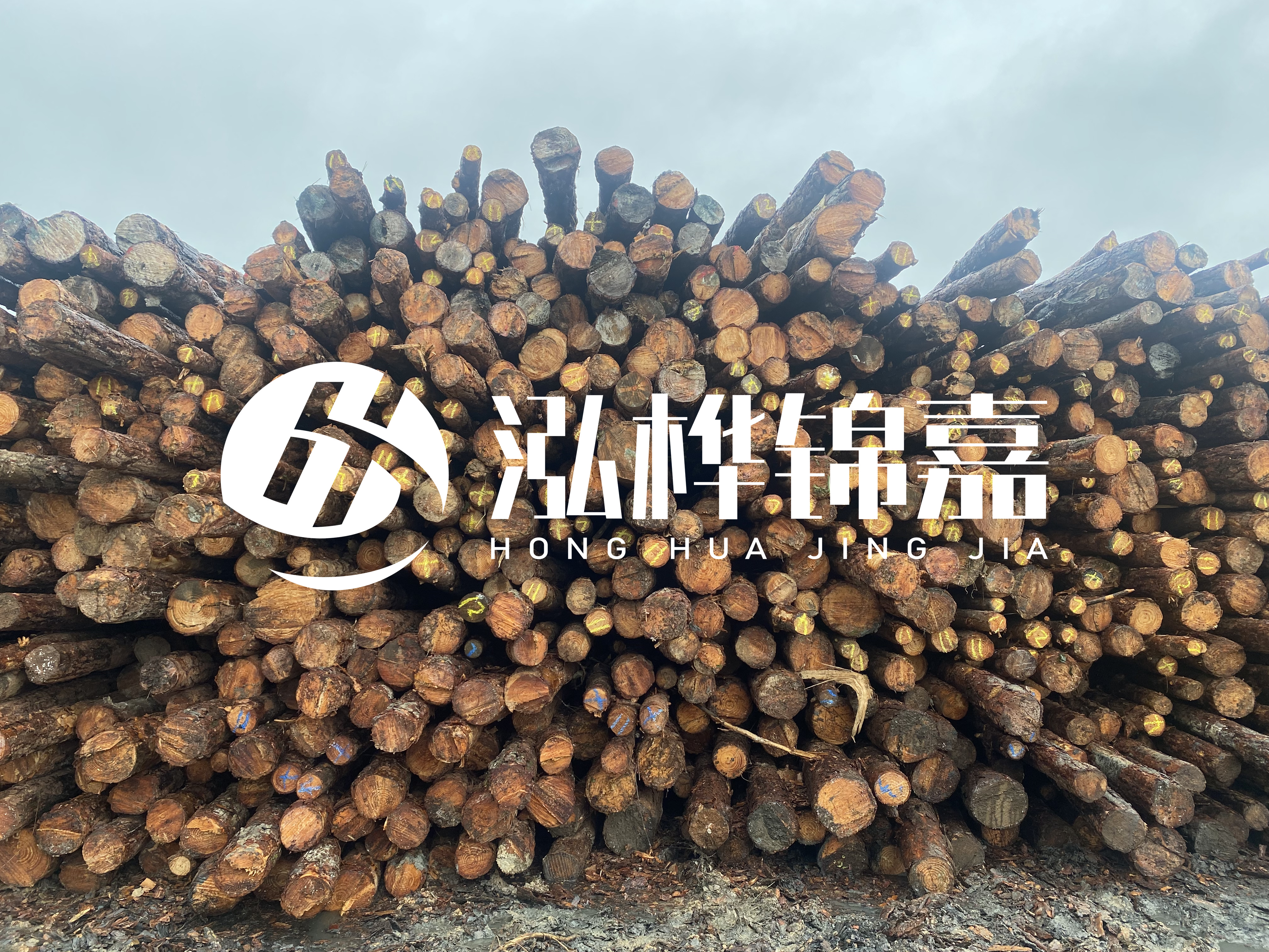 松木樁的直徑一般取多少？