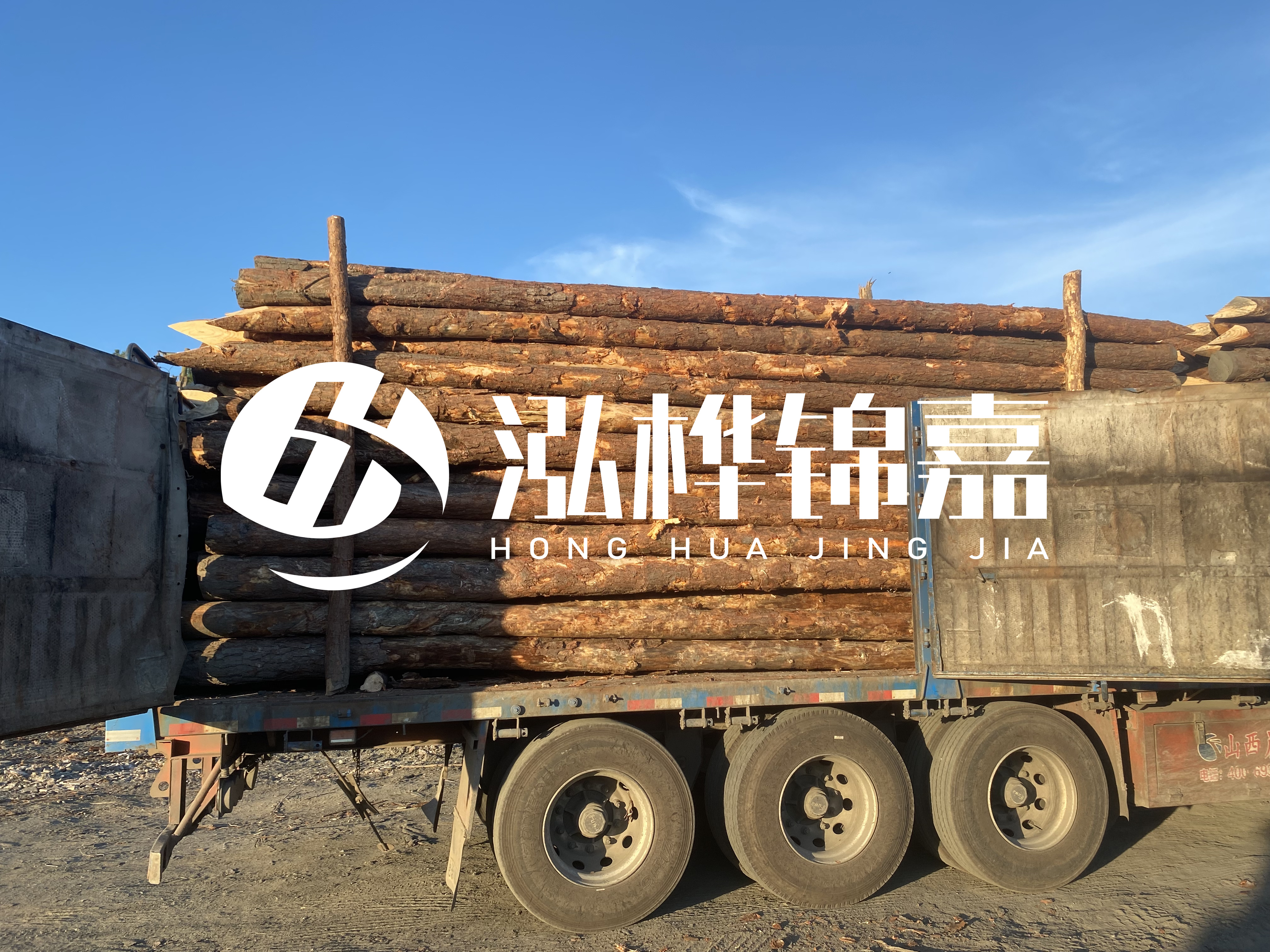 河道治理為什么要用松木樁？