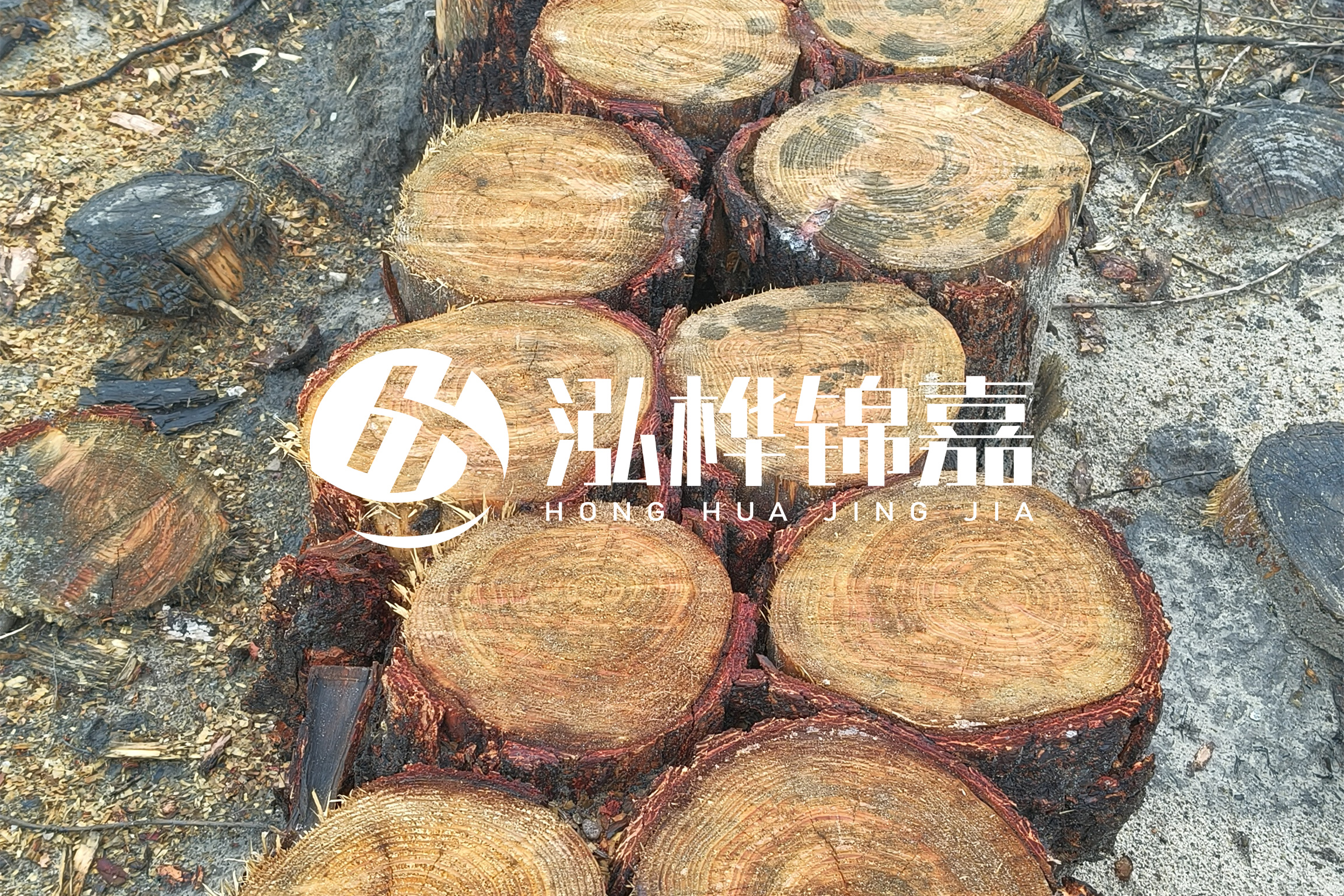 浙江臺(tái)州有清淤的公司嗎？浙江臺(tái)州有清淤施工隊(duì)嗎？