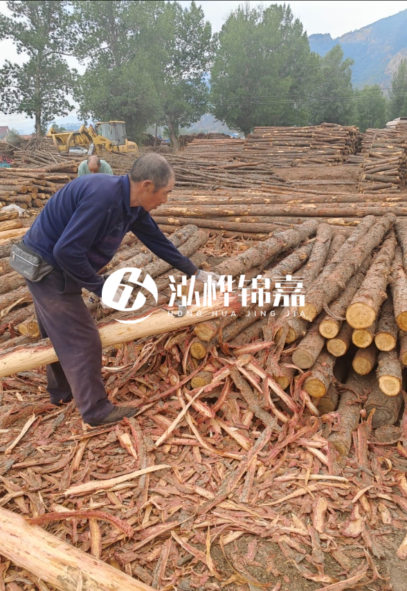 東營(yíng)河道清淤專業(yè)施工隊(duì)-不同型號(hào)挖機(jī)清淤能力對(duì)比？