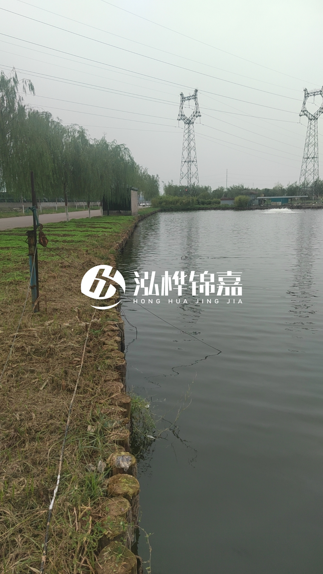 臺州挖機打木樁專業(yè)施工-松木樁打樁木的密度對打樁效果有影響嗎？