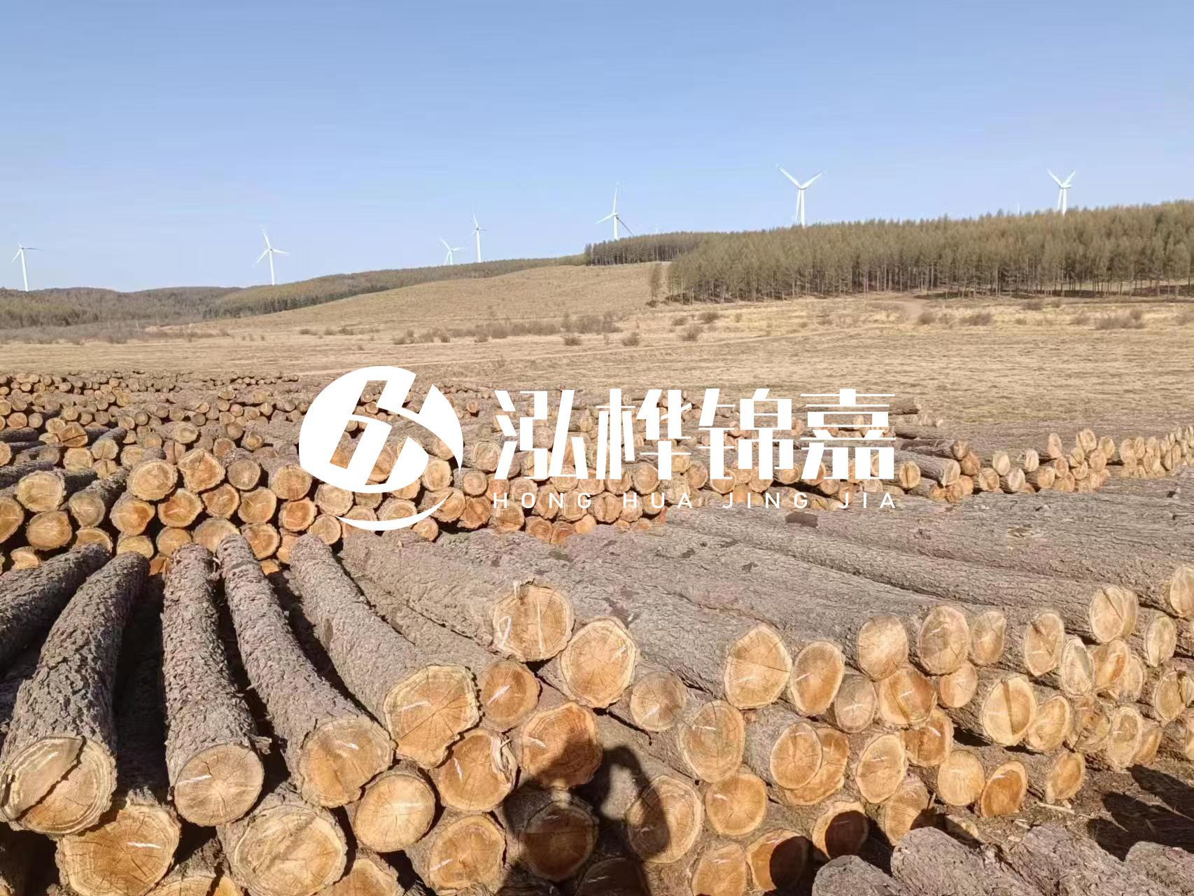 咸寧松木樁源頭廠家-哪里能買到質(zhì)量好的松木樁打樁木？