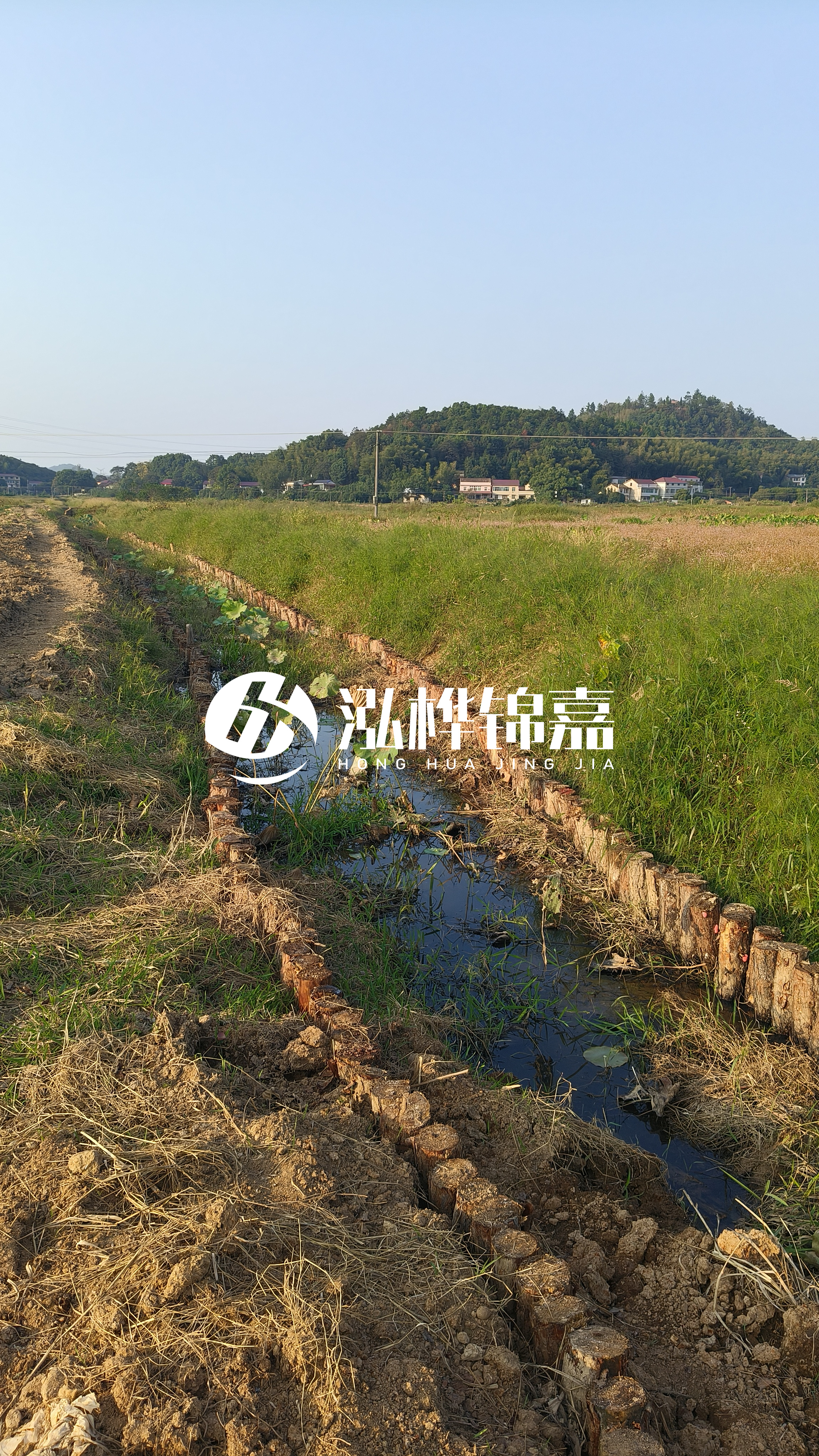 河道護(hù)坡打木樁的目的全解析：你知道幾個(gè)？