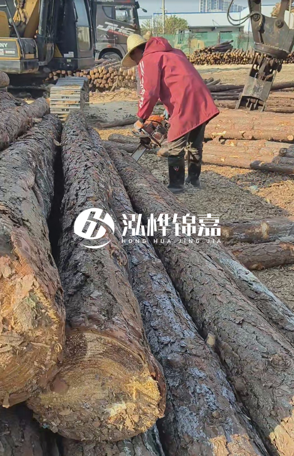 長沙打樁木批發(fā)廠家在哪里？聯(lián)系方式是什么？