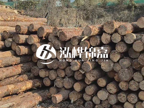 落葉松木材的主要產(chǎn)地在哪里？為什么比其他松木更耐腐蝕？