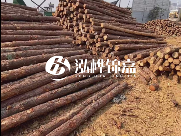 河道木樁施工遇到淤泥怎么辦？打多深才能防沖刷？