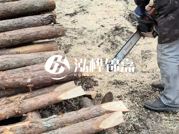 杉木樁批發(fā)廠家哪家好？產(chǎn)地直供渠道推薦！