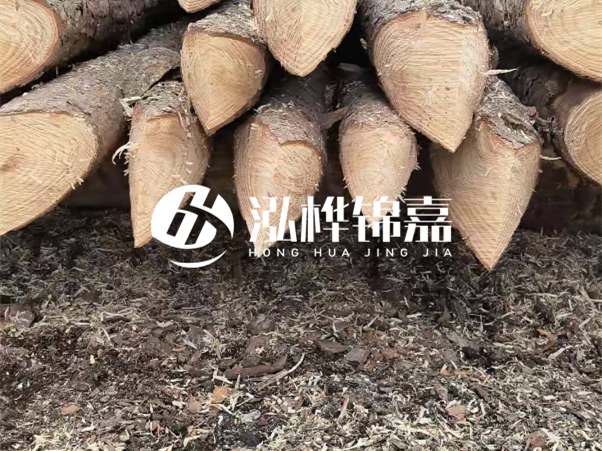 打樁木樁與鋼樁相比有哪些優(yōu)缺點(diǎn)？如何進(jìn)行后期維護(hù)？