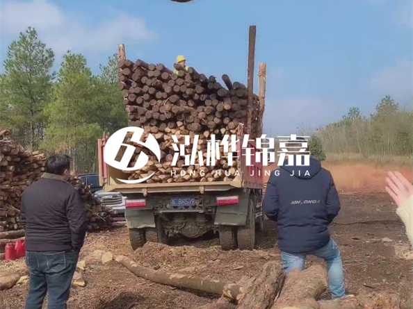 松木樁價格是按米算還是按根算？6米松木樁批發(fā)價每根多少錢？