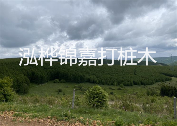 松木樁能重復施工么？