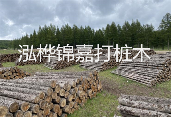 預(yù)制松木樁施工工藝：優(yōu)質(zhì)材料，高效快速，堅(jiān)固耐用