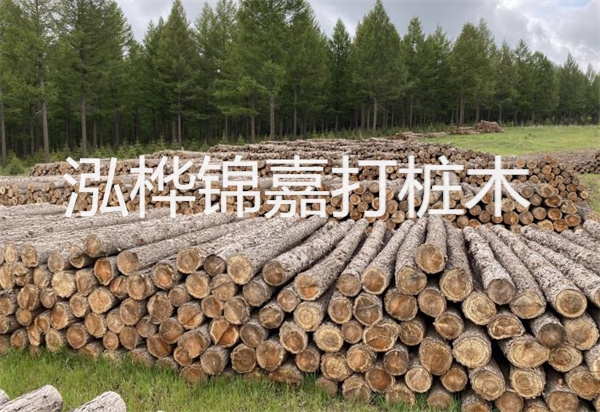 松木樁能施工嗎？探究視頻揭秘真相！