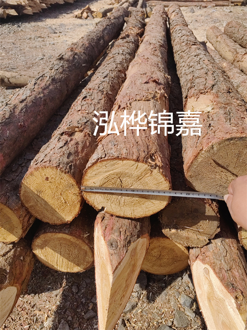松木樁施工圖dwg，精確掌握施工細(xì)節(jié)