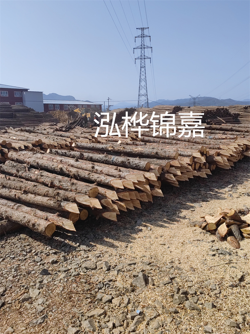 深入了解松木樁基礎施工單價，助力工程建設順利進行！