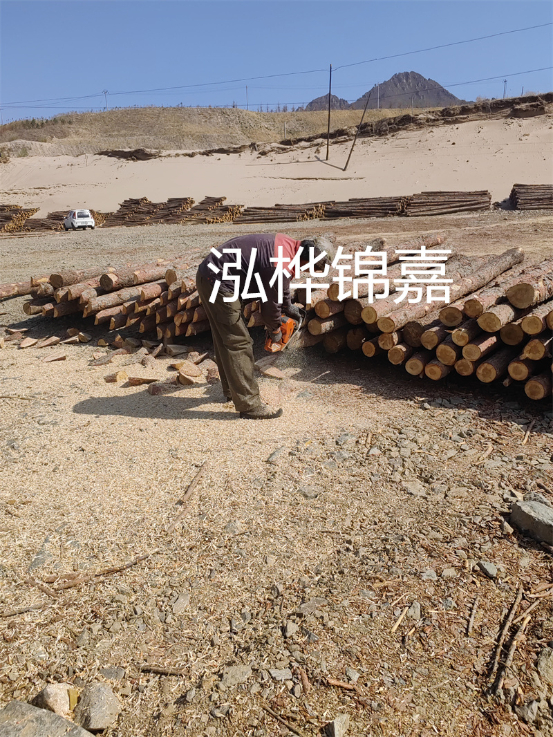 松木樁駁岸施工，打造水上風景線
