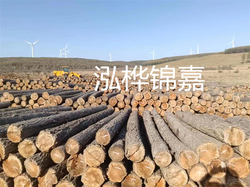 溫州松木樁施工廠家——為您打造堅(jiān)固穩(wěn)定的建筑基礎(chǔ)！