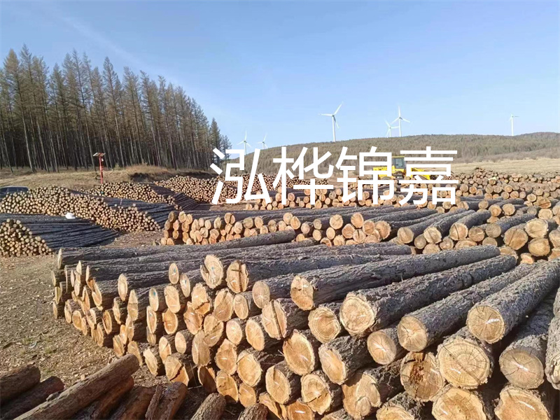 用路基松木樁施工方案提升工程質(zhì)量描述：了解路基松木樁施工方案的重要性，提高工程質(zhì)量關(guān)鍵詞：路基松木樁，施工方案，工程質(zhì)量